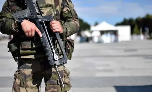 Les militaires signataires se disaient prêts à "soutenir les politiques" qui œuvreraient contre le "délitement" de la France. (photo illustration)