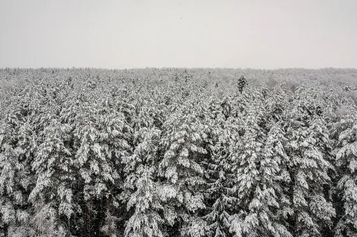 L'appareil a été contraint à un atterrissage d'urgence en Sibérie.