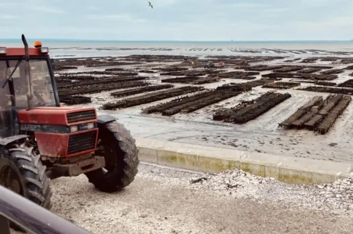Matinale spéciale ce samedi : «Réveillon de noël : le moral de nos producteurs»