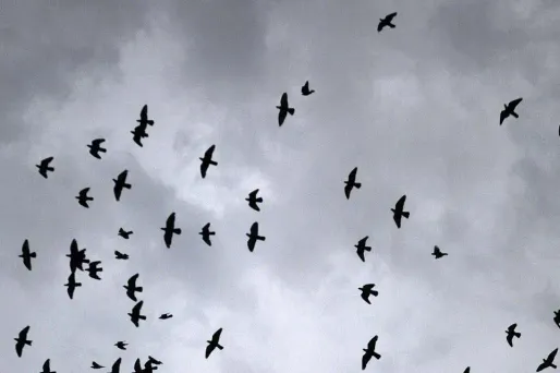 Le temps sera pluvieux sur le nord-ouest du pays mardi. (Image d'illustration)