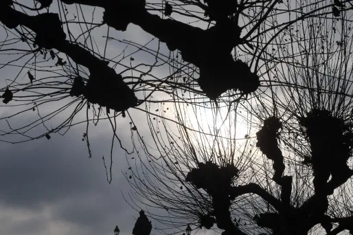 La météo de mercredi 8 janvier : gris sur la moitié nord, plus lumineux au sud