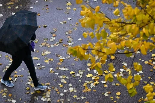 La météo de vendredi 10 janvier : pluie et neige au programme