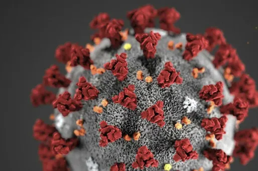 La personne décédée du coronavirus Covid-19 aux Etats-Unis était une femme d'une cinquantaine d'années.