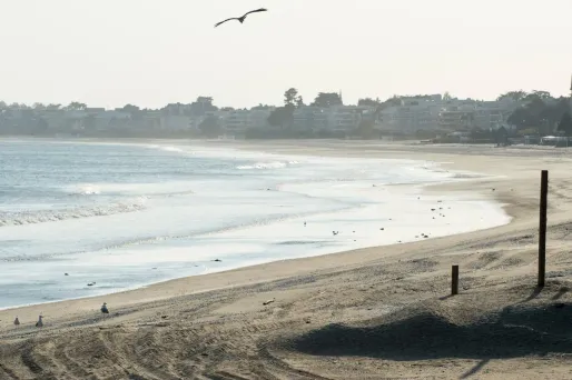 Un groupe d'élus LR demande un report de la rentrée de septembre pour favoriser des départs en vacances, à distance du pic de l'épidémie de coronavirus.