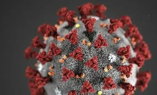 Le coronavirus est-il aussi une MST ?
