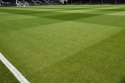 Dimanche, plusieurs centaines de personnes se sont réunies à l'occasion d'un match de foot non autorisé à Strasbourg, en pleine épidémie de Covid-19.