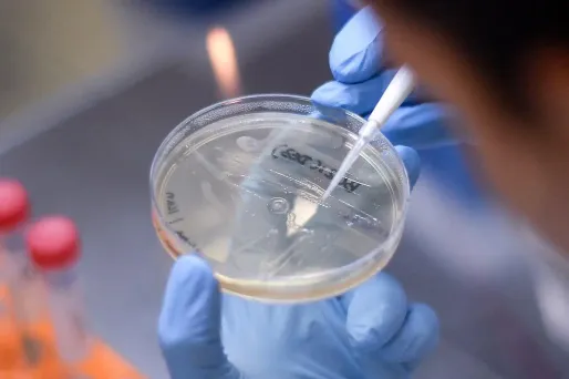 Célébrités, entreprises et états ont contribué à une levée de fonds pour la recherche d'un vaccin.