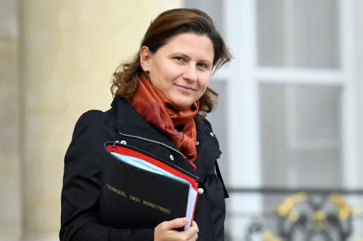 La ministre des sports Roxana Maracineanu s'est dite favorable à des expérimentations avec les fumigènes à la reprise du championnat.