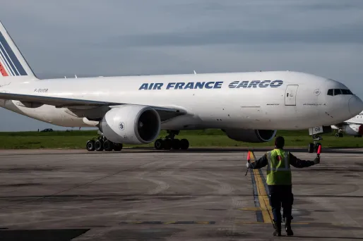La France et les Pays-Bas possèdent chacun 14% du groupe franco-néerlandais Air France-KLM.