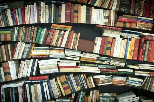 Livres romans littérature Rentrée littéraire