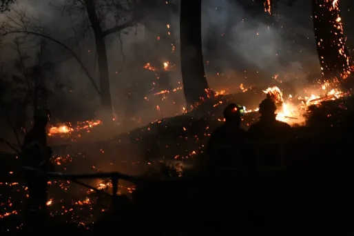 L'incendie d'Anglet est d'origine humaine