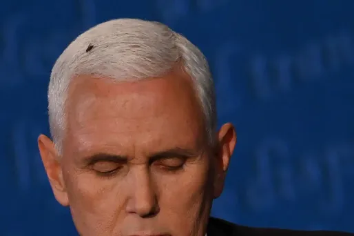 Une mouche s'est posée sur le front de Mike Pence lors du débat.