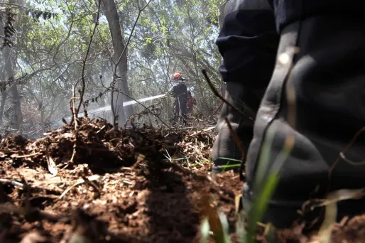 La Réunion, Maïdo, incendie