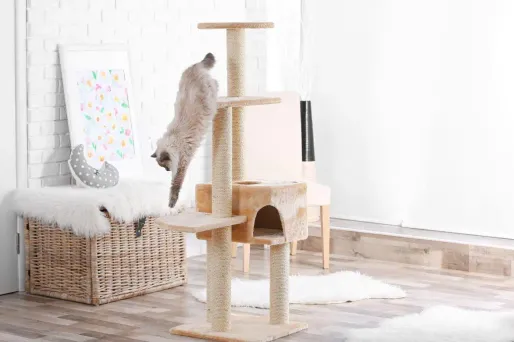 L’arbre à chat Feandrea à moins de 40 euros sur Amazon