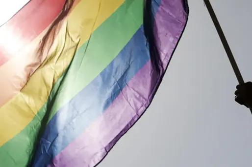 Les tribunaux égyptiens utilisent les incriminations de "débauche" ou de "prostitution" pour condamner les homosexuels.