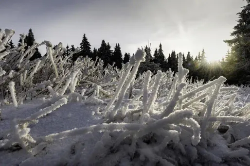 Dimanche, un peu de neige est attendue sur le Nord-Est, le Massif central et les Pyrénées.