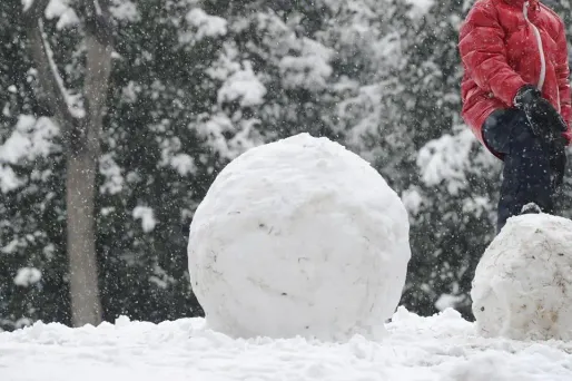 Le temps sera notamment perturbé dans le Nord-Est, avec de la neige à basse altitude du Jura aux Vosges et dans les vallées intérieures des Alpes le matin.