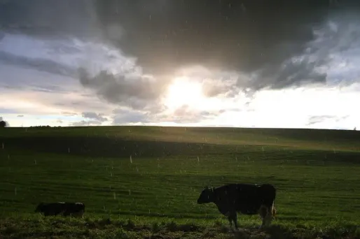 Nuages et soleil alterneront vendredi.