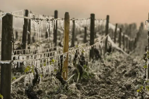 Le matin, des gelées seront quasi-généralisées en dehors du nord-ouest du pays.