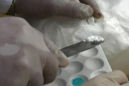 Joaquin Guzman Lopez et Ovidio Guzman Lopez sont accusés d'avoir participé à l'acheminement aux États-Unis, depuis le Mexique, de cocaïne, de méthamphétamine et de cannabis.