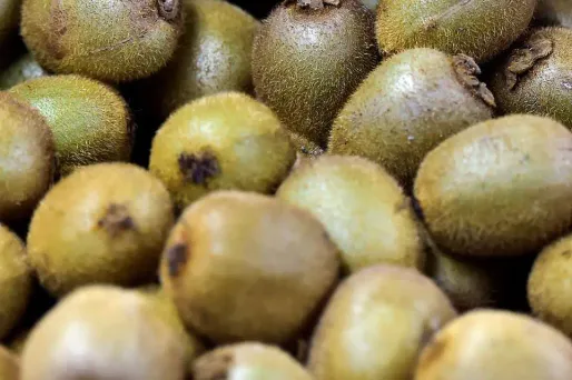 kiwi crédit : GEORGES GOBET / AFP - 1280