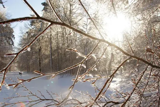 On attend localement 1 à 3 cm sur la Lorraine et l'Alsace, 5 à 10 cm sur les Vosges par accumulation en fin de journée.