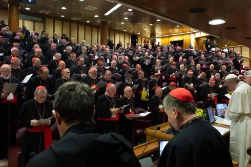 Que retenir du sommet de l’Eglise sur les victimes de prêtres pédophiles ?