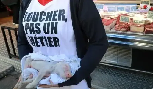 14 actions ont été menées notamment dans la métropole lilloise au cours des trois derniers mois.