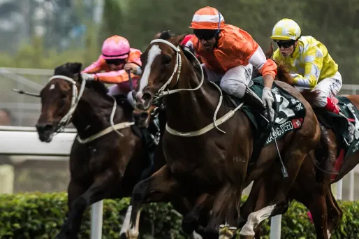 Le n°11, Angle Of Attack, s'est imposé mercredi à Vincennes. (Photo d'illustration)