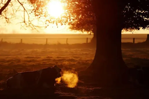 Mercredi, l'Est devrait baigner dans le soleil ainsi que le pourtour méditerranéen.