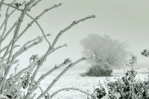 neige crédit : PHILIPPE HUGUEN / AFP - 1280