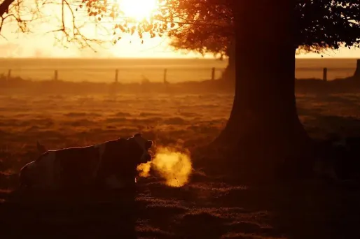 La journée de vendredi s'annonce ensoleillée (photo d'illustration).