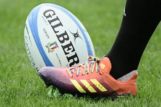 Des membres supposés de l'association de supporters de l'Aviron Bayonnais ont posté le 15 mars sur les réseaux sociaux des vidéos à caractère homophobe. (Image d'illustration)