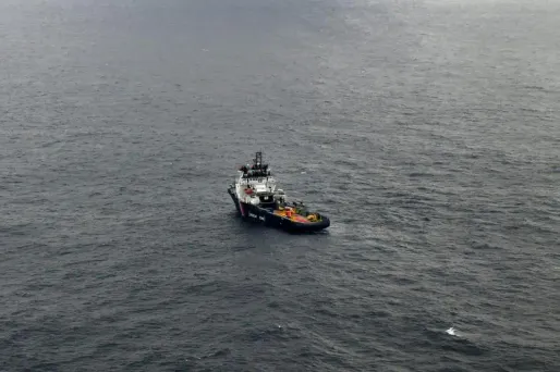 Grande America : deux oiseaux mazoutés retrouvés sur des plages basque et landaise