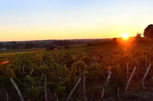 Le soleil fera son retour sur une partie du pays, samedi (photo d'illustration).