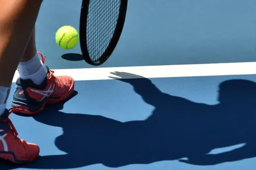 L'ex-joueuse Martina Navratilova avait qualifié les athlètes transgenres de "tricheurs".