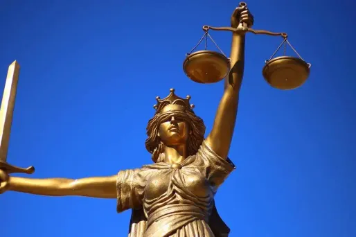 L'avocat général avait requis 20 ans de réclusion criminelle (photo d'illustration).