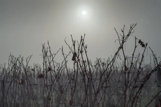Des nuages gris matinaux vont persister sur le Nord-Est mercredi. (photo d'illustration)