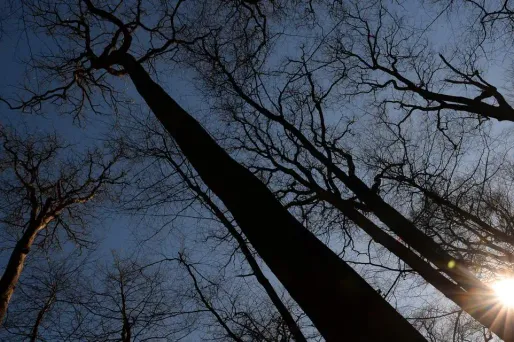 soleil, météo, lever de soleil crédit : JEAN-FRANCOIS MONIER / AFP - 1280
