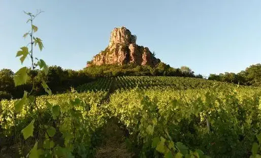 La Roche de Solutré est classée "grand site de France" depuis 2013.