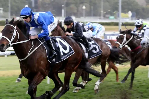 Hippisme, course hippique, Bob Barker / AFP 1280