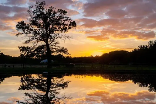Jeudi matin, entre les Pays de Loire et l'Alsace, les périodes ensoleillées seront encore contrariées par quelques passages nuageux.