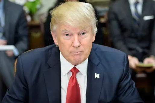 Donald Trump a affirmé n'avoir jamais rencontré E. Jean Carroll qui l'accuse de viol.