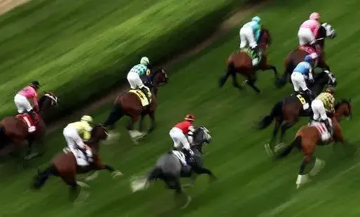 La course se déroulait sur la piste de l'hippodrome de Longchamp. Photo d'illustration.