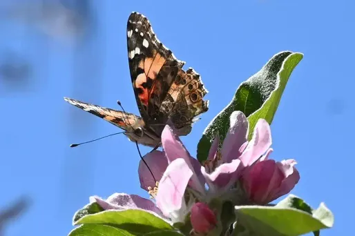 La journée de samedi sera globalement marquée par un retour du soleil.
