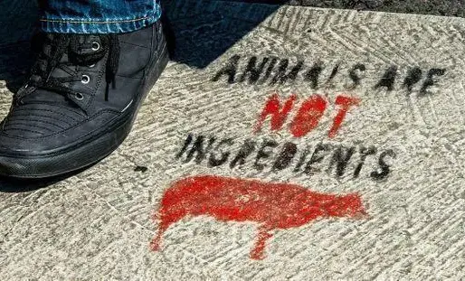 "Fermons les abattoirs!" : défilé à Paris contre la maltraitance animale