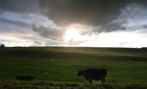 Sur une partie importante du pays, le temps oscillera entre averses et éclaircies.