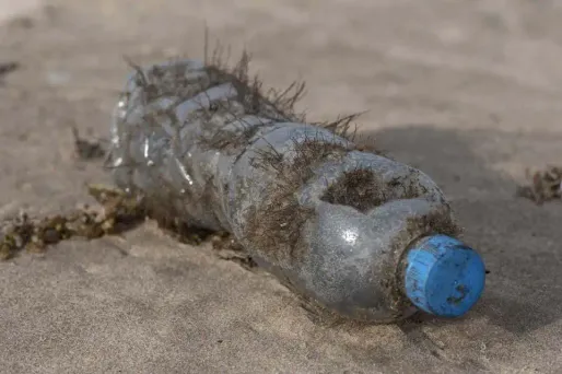 Une marche à Paris pour dénoncer la pollution des océans
