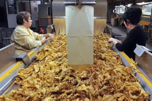 L'usine, qui a employé jusqu'à 250 personnes, était sur le déclin depuis plusieurs années et a déjà connu trois plans sociaux en dix ans.