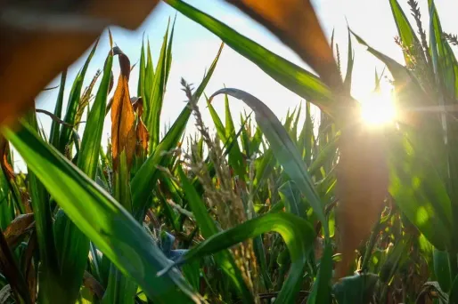Le temps de mercredi sera très largement ensoleillé, malgré quelques averses orageuses sur les Alpes du sud et en Corse.
